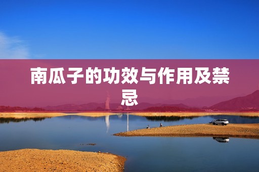 南瓜子的功效与作用及禁忌