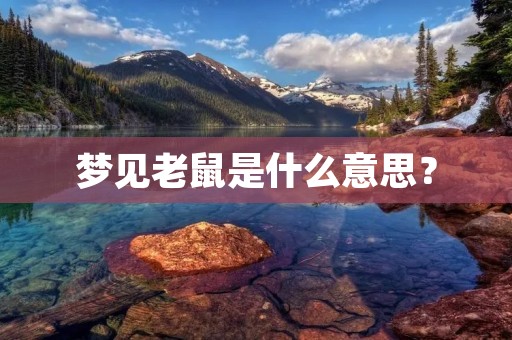 梦见老鼠是什么意思？