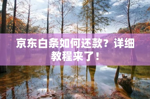 京东白条如何还款？详细教程来了！