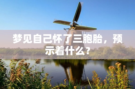 梦见自己怀了三胞胎，预示着什么？