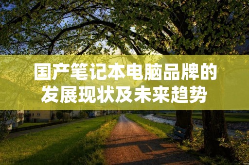 国产笔记本电脑品牌的发展现状及未来趋势