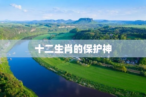 十二生肖的保护神
