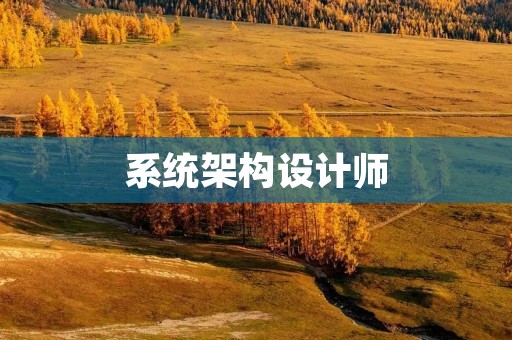 系统架构设计师：高级还是中级？