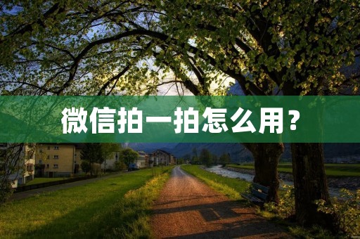 微信拍一拍怎么用? 微信拍一拍怎么用?