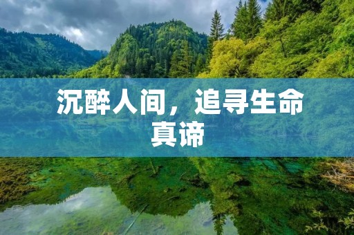 沉醉人间,追寻生命真谛 沉醉人间,追寻生命真谛