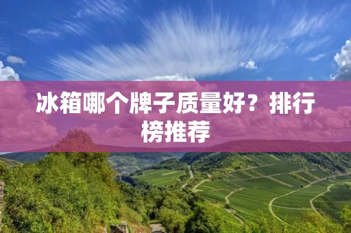 冰箱哪个牌子质量好?排行榜推荐