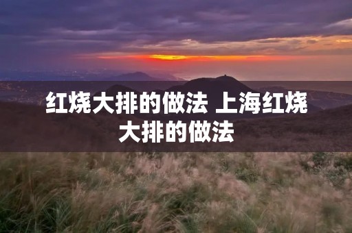 红烧大排的做法 上海红烧大排的做法 红烧大排的做法 上海红烧大排的做法
