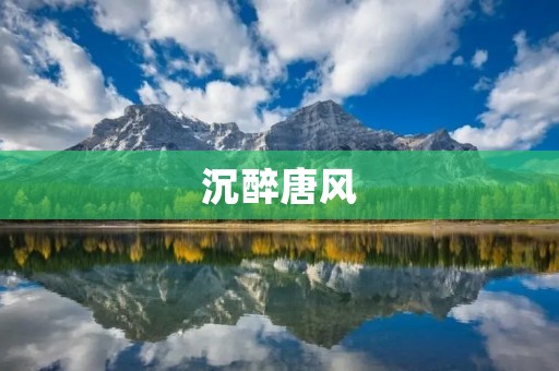 沉醉唐风：探寻唐朝文化的魅力