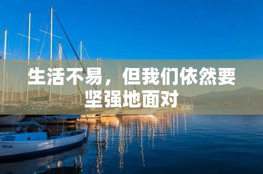 生活不易,但我们依然要坚强地面对 生活不易,但我们依然要坚强地面对