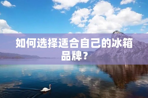 如何选择适合自己的冰箱品牌?