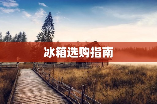 冰箱选购指南:什么牌子的冰箱好?