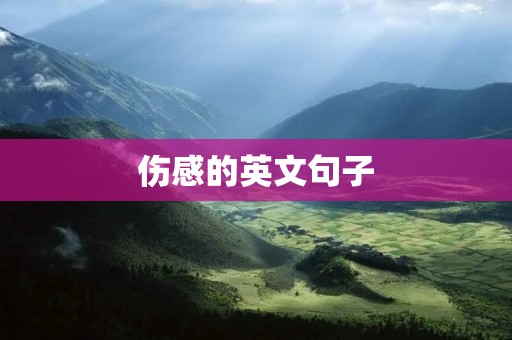 伤感的英文句子 伤感的英文句子