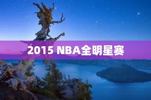 2015 NBA全明星赛：最具收视率的篮球盛宴