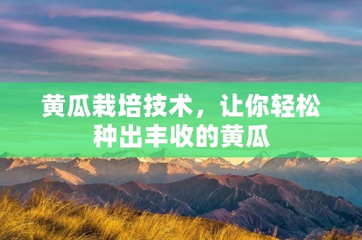 黄瓜栽培技术,让你轻松种出丰收的黄瓜