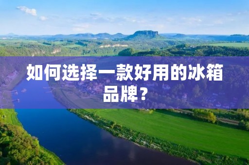 如何选择一款好用的冰箱品牌?