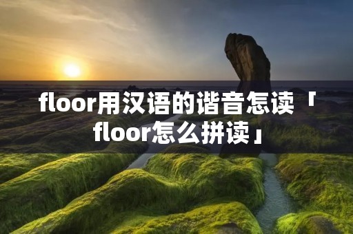 floor用汉语的谐音怎读「floor怎么拼读」