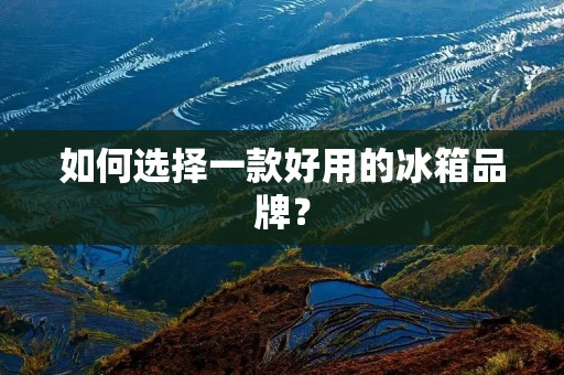 如何选择一款好用的冰箱品牌?