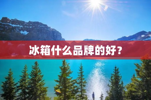 冰箱什么品牌的好?