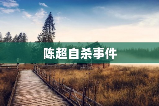 陈超**事件:让我们深刻反思社会心理健康问题 陈超**事件:让我们深刻反思社会心理健康问题