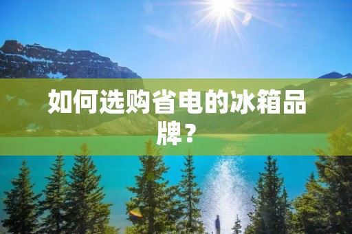如何选购省电的冰箱品牌?