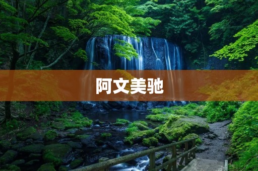 阿文美驰：让你的车更具性能和美感