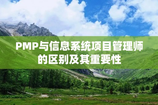 PMP与信息系统项目管理师的区别及其重要性