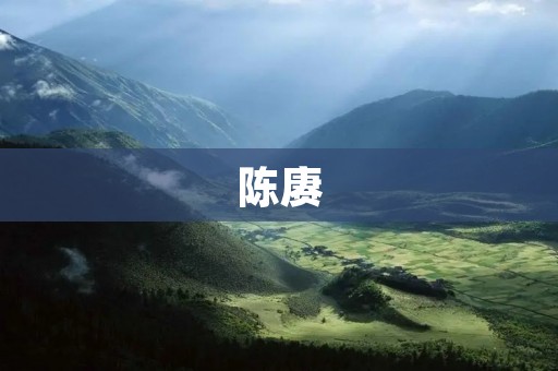 陈赓:中国军事家与政治家 陈赓:中国军事家与政治家