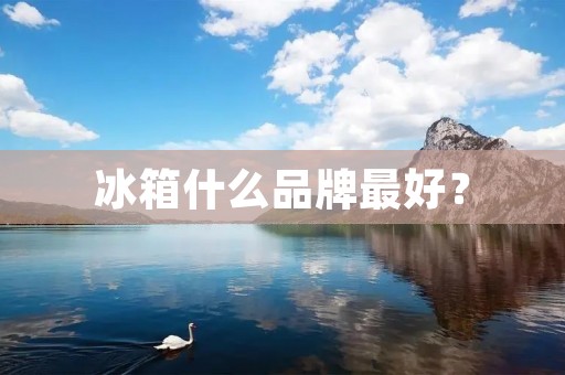 冰箱什么品牌最好?