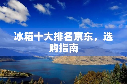 冰箱十大排名京东,选购指南