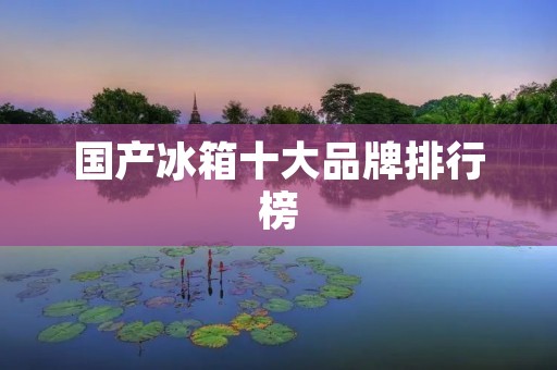 国产冰箱十大品牌排行榜