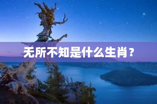 无所不知是什么生肖？