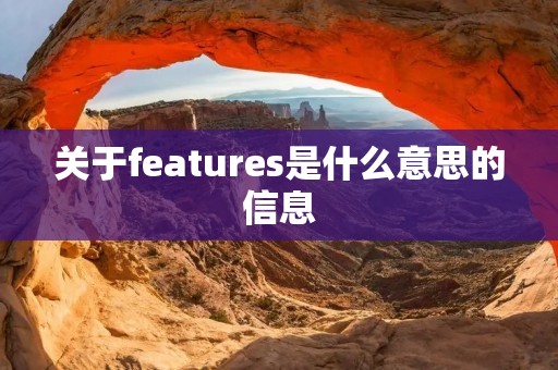 关于features是什么意思的信息