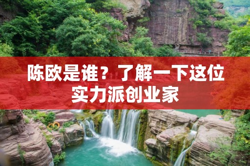 陈欧是谁?了解一下这位实力派创业家 陈欧是谁?了解一下这位实力派创业家