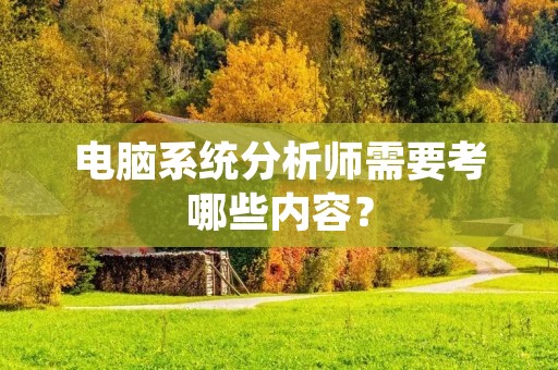 电脑系统分析师需要考哪些内容？