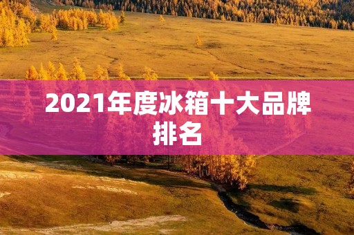 2021年度冰箱十大品牌排名