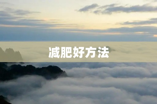 减肥好方法:科学健康的瘦身之道 减肥好方法:科学健康的瘦身之道
