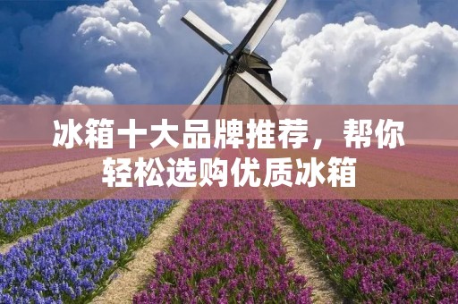 冰箱十大品牌推荐,帮你轻松选购优质冰箱 冰箱十大品牌推荐,帮你轻松选购优质冰箱
