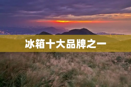 冰箱十大品牌之一:海尔 冰箱十大品牌之一:海尔