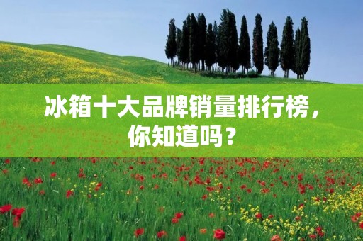 冰箱十大品牌销量排行榜,你知道吗? 冰箱十大品牌销量排行榜,你知道吗?