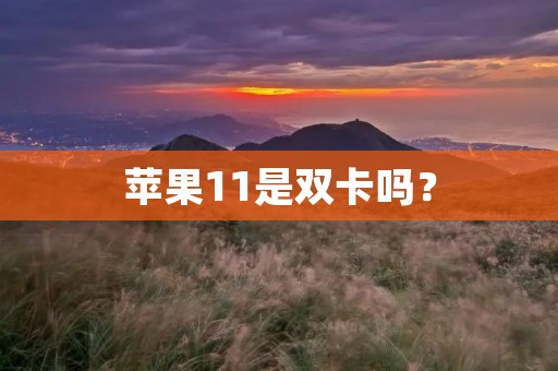 苹果11是双卡吗? 苹果11是双卡吗?