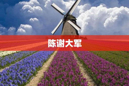 陈谢大军:从“悍将”到“教练” 陈谢大军:从“悍将”到“教练”