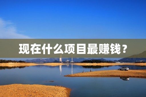 现在什么项目最赚钱?