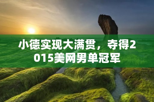 小德实现大满贯,夺得2015美网男单冠军