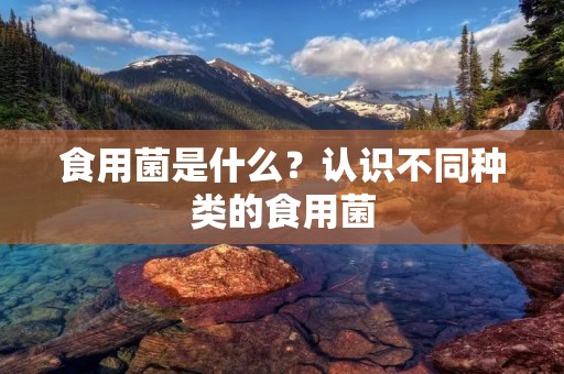 食用菌是什么?认识不同种类的食用菌