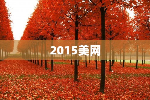 2015美网:小德夺冠,绝境逆袭 2015美网:小德夺冠,绝境逆袭
