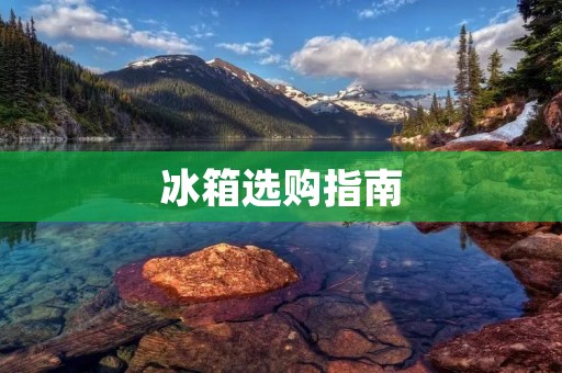 冰箱选购指南:哪些品牌是值得信赖的? 冰箱选购指南:哪些品牌是值得信赖的?