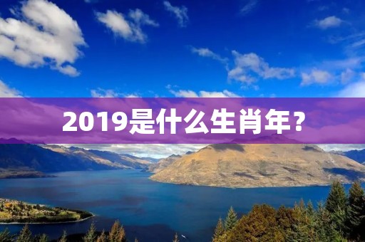 2019是什么生肖年?