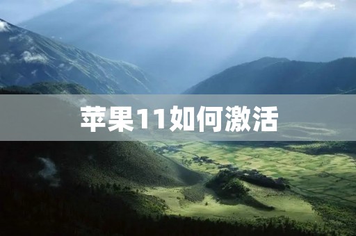苹果11如何激活:详细步骤和注意事项 苹果11如何激活:详细步骤和注意事项