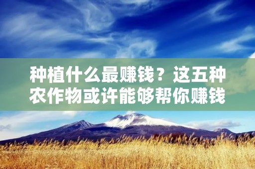 种植什么最赚钱?这五种农作物或许能够帮你赚钱