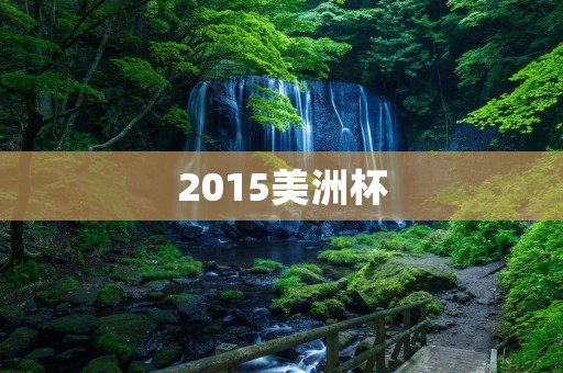 2015美洲杯:南美足坛的巅峰对决 2015美洲杯:南美足坛的巅峰对决